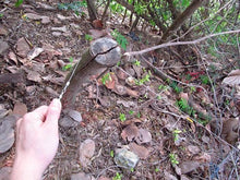 Laden Sie das Bild in den Galerie-Viewer, Outdoor Drahtsägen Handkettensäge