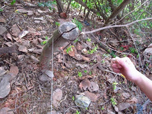 Laden Sie das Bild in den Galerie-Viewer, Outdoor Drahtsägen Handkettensäge
